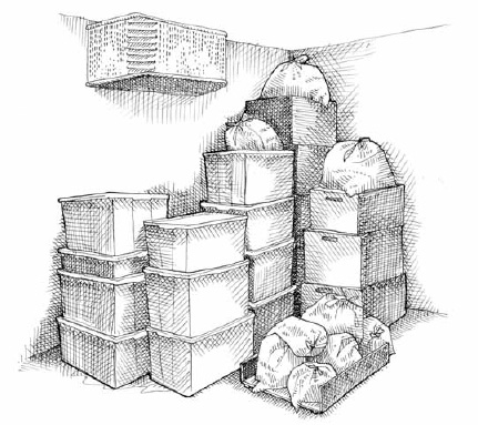 Our cold room allows us to harvest the day before delivery. This takes a lot of stress off our backs and saves us from getting up at the crack of dawn on harvest days. However, storing vegetables in cold rooms does require a certain logistical aptitude.