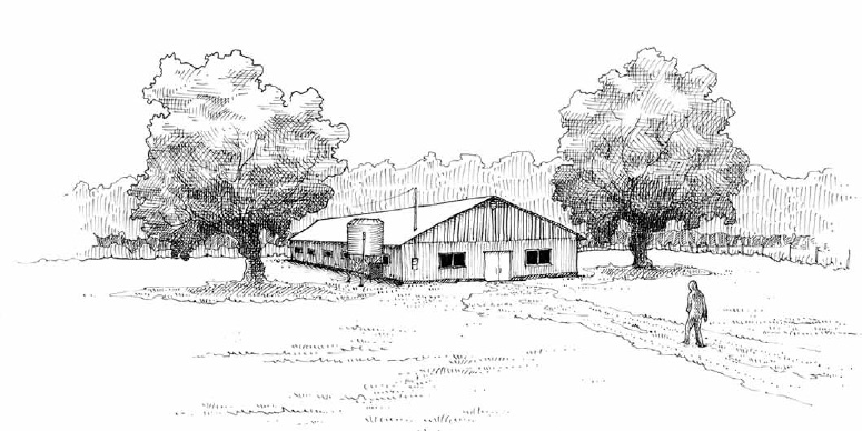 We had the fortune (and the audacity) to start our market garden on the site of an old rabbit farm. We transformed one section of the building into a multifunctional storehouse, and after two winters of renovations, the other part became our home.