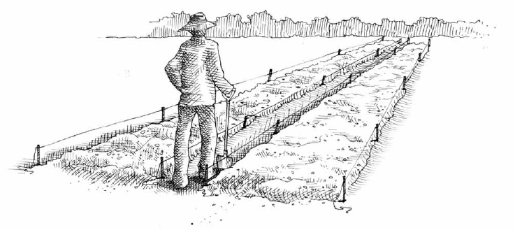 Depending on the size of the garden, establishing permanent beds may take a few days or even weeks.