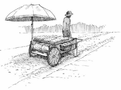 When harvesting we try to pick as much as possible in one trip. To make sure that the vegetables stay shaded, we installed a removable umbrella on our harvest cart; and we often carry a damp wool cover with us to help keep the vegetables cool.