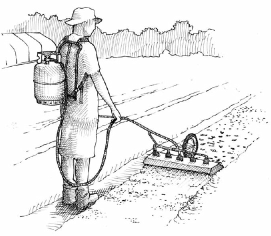 Effective thermal weed control depends on the quality of the flame weeder. Ours is 30 inches wide and features five torches, which allow for burning at a high intensity with multiple flames. The torches are shielded from the wind by a metal hood—an important feature that allows us to use the tool in windy weather.