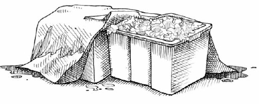 When incoming crops from the garden are waiting to be washed, it is important that they be pre-refrigerated. Our well-insulated storage area is always about 60°F, which is quite suitable. You can also cool harvested vegetables by covering them with a soaked wool blanket.