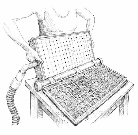 To speed up the procedure when seeding flats, we use a homemade vacuum seeder, also known as a plate seeder. This simple yet brilliant device uses a vacuum to hold seeds onto a flat plate drilled with small holes to match the seed size and pattern of cells in a tray. You then flip over the plate onto a filled cell flat and shut the vacuum off, letting the seeds fall into place.