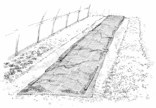 Soil-covering tarps are about as effective at fighting weeds as a short cover crop in a conventional vegetable rotation, but they can be set up in one go. They work immediately and quickly, and are the perfect fit for the intensive market gardening model.