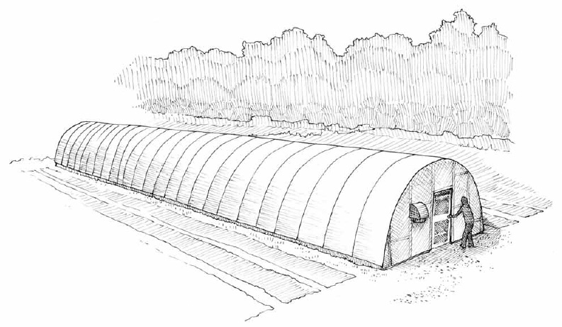 We currently use hoophouses for growing trellised cucumbers and peppers in the summer. Prior to erecting our greenhouse, we grew our tomatoes in them as well.