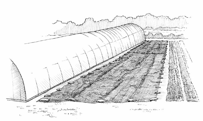 Covering the soil with an opaque tarp for a few weeks is how we manage to clean the surface of our beds without having to work the soil. This technique is also quite beneficial in reducing weed pressure for the following crop.