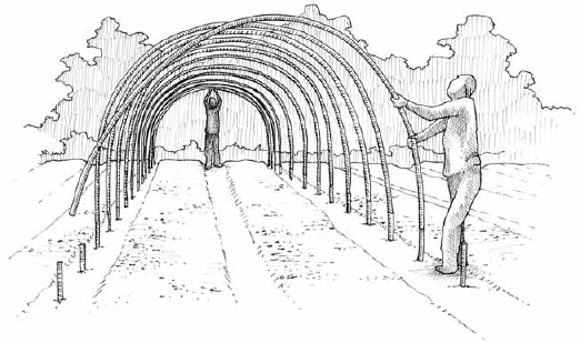 Since caterpillar tunnels are portable, we can reap all the benefits of keeping crops covered without compromising our crop rotation.