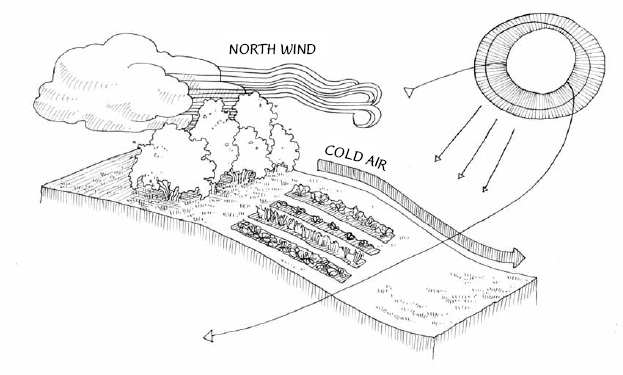 A market garden located on a natural south or southeast facing slope has many advantages, one of them being that the sun’s rays will hit the soil surface more directly, thereby increasing their warming effect in the spring.
