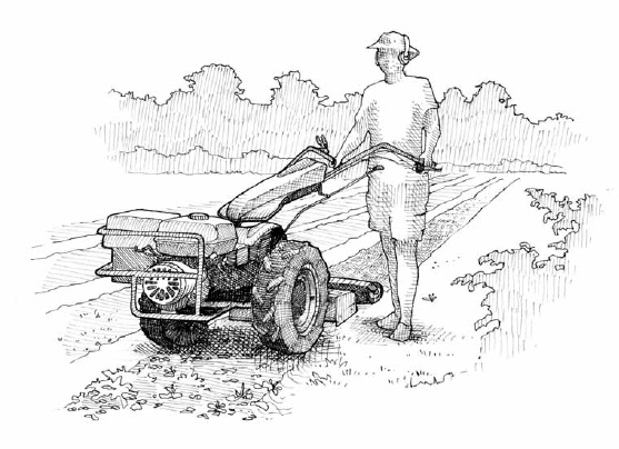 The handlebars of a two-wheel tractor can be turned sideways to allow you to walk without stepping on the newly prepared soil surface. Its light weight and small size make it an appropriate choice of machinery for cultivating in a permanent bed system.