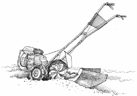 Raised beds have a tendency to settle over time. For many years we hilled them with a plough hooked up to a small rototiller. Now we use a rotary plow fixed to our walking tractor. Every spring, we make sure to build up a few beds to ensure that they are all maintained every two to three years.