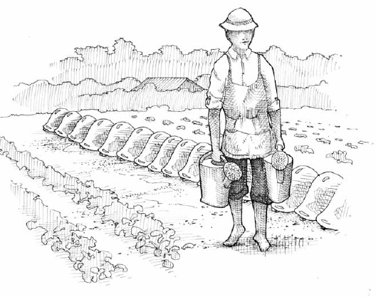 In the 19th century, French market gardeners used cloches and cold frames to force vegetable growth during the cold season. Today we rely on floating row cover and polyethylene film to do the same thing.