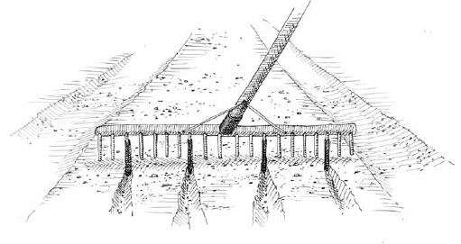 When cultivating with a hoe, it’s much easier to follow a straight line than a wandering one. This is why we mark our rows. We do so by fitting a few short lengths of interchangeable plastic tubes over the tines of our bed preparation rake. Our row spacing calculation is based on the width of the hoes we use and the optimal spacing for each crop.