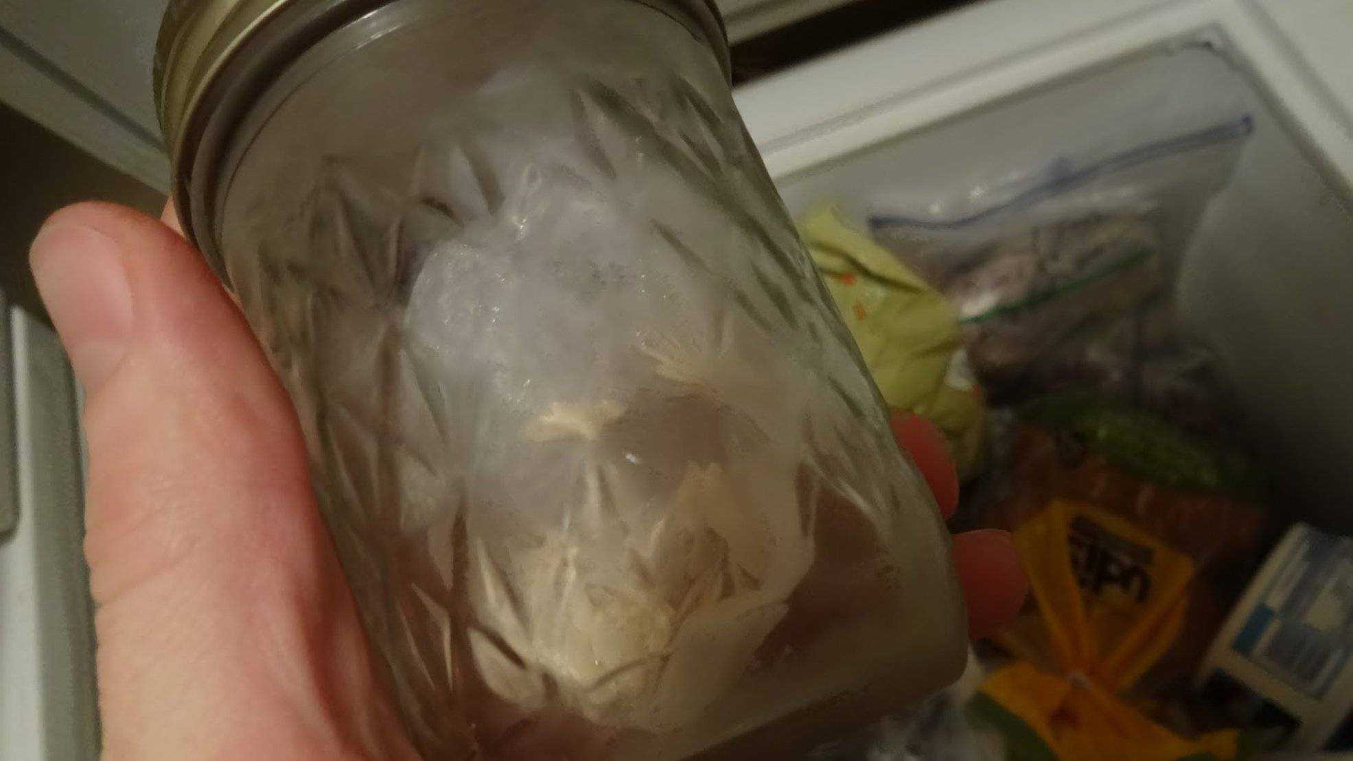 The Scientific Gardener: Long Term Storage of Seeds