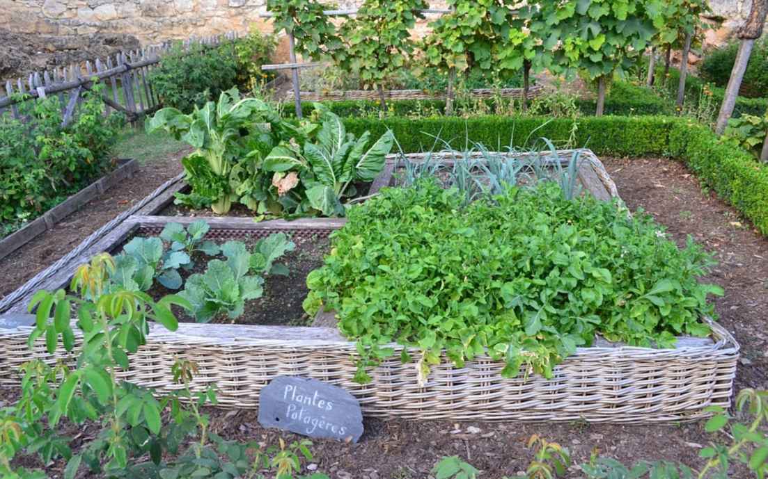 Vegetable Garden Medieval · Free photo on Pixabay