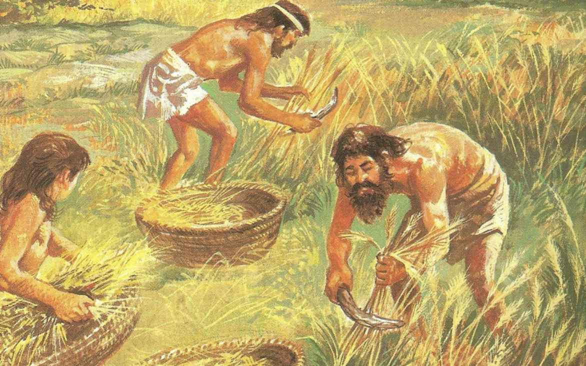 Agricultura Neolitica - Archivos de la Historia | Tu página de divulgación