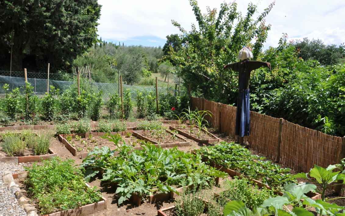 Orto - Vegetable Garden | Salvadonica Borgo del Chianti | Flickr
