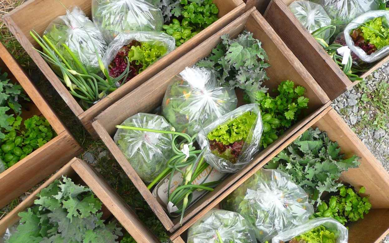 Why a CSA may not be right for your small farm – Invironment – Medium