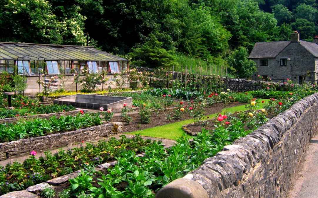 Now That's a Vegetable Garden! | Best viewed LARGE on Black:… | Flickr