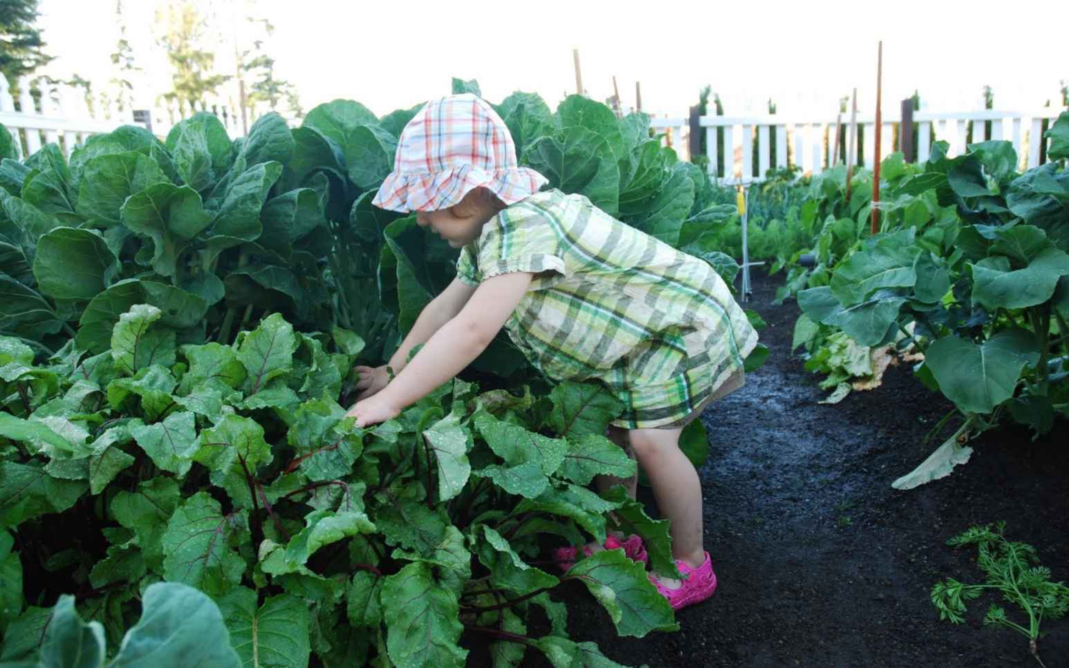 The Montessori Child at Home: Gardening with Ml.