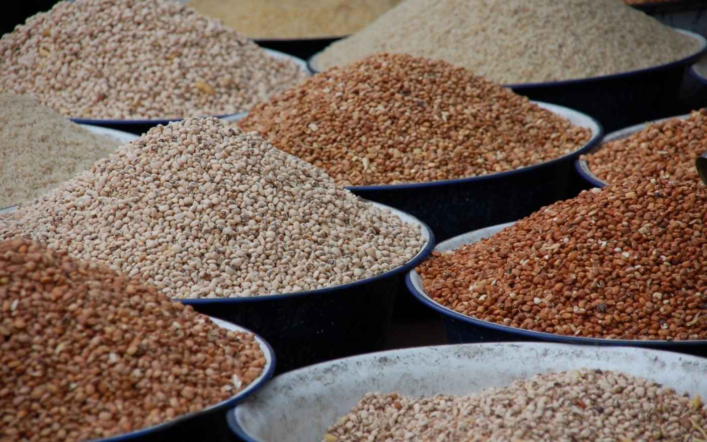 Investing in Seed Banks — Read The Dirt