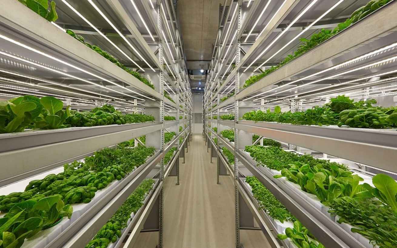 Dakota Gardener: Farms of the Future — Extension and Ag Research News