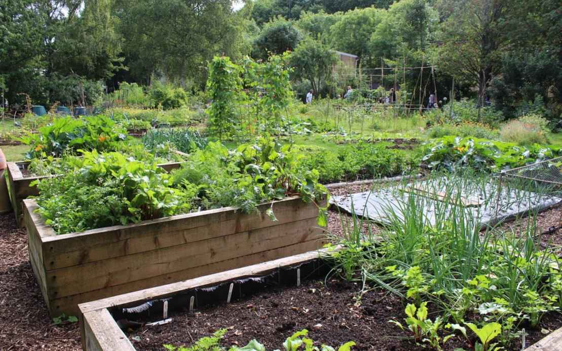 Raised bed organic vegetable garden | Please credit to: Loca… | Flickr