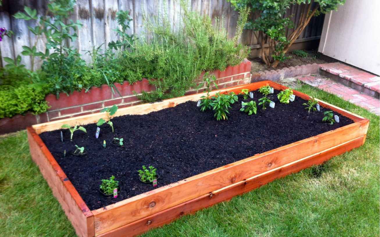 Vegetable Gardening | Raised bed with transplants. Day 1. | Jamie ...