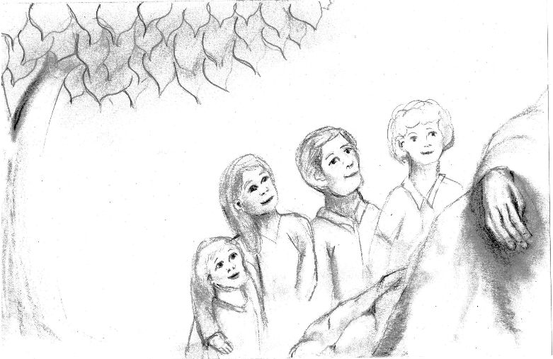 Image #6rev.jpg
